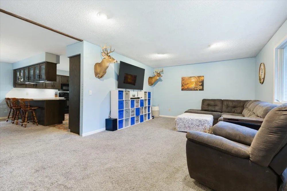 20200 W Lake Montcalm Road Reynolds Township, MI 49329