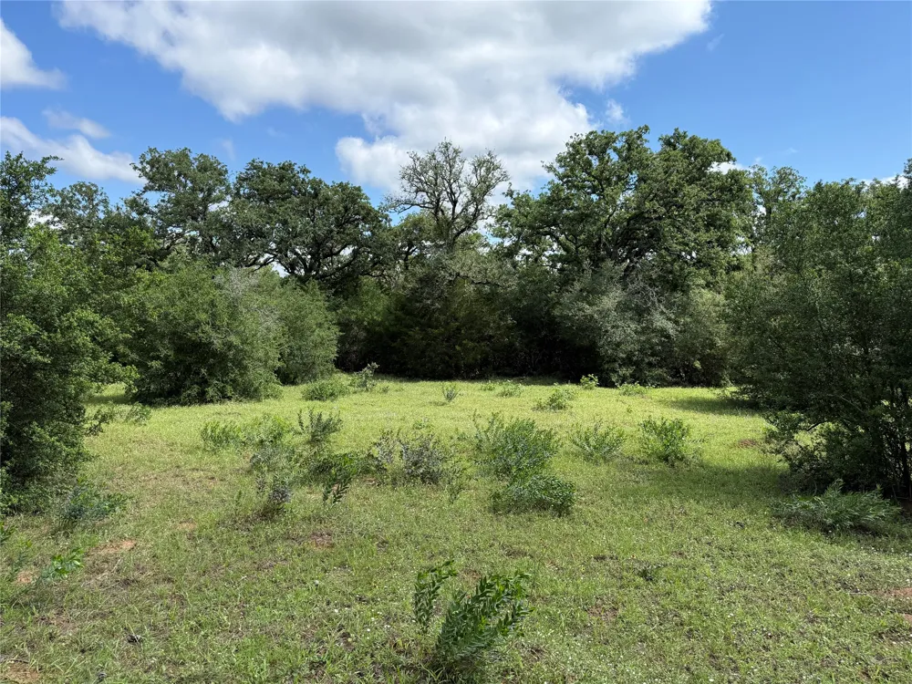 1749 FM 535 Smithville, TX 78957