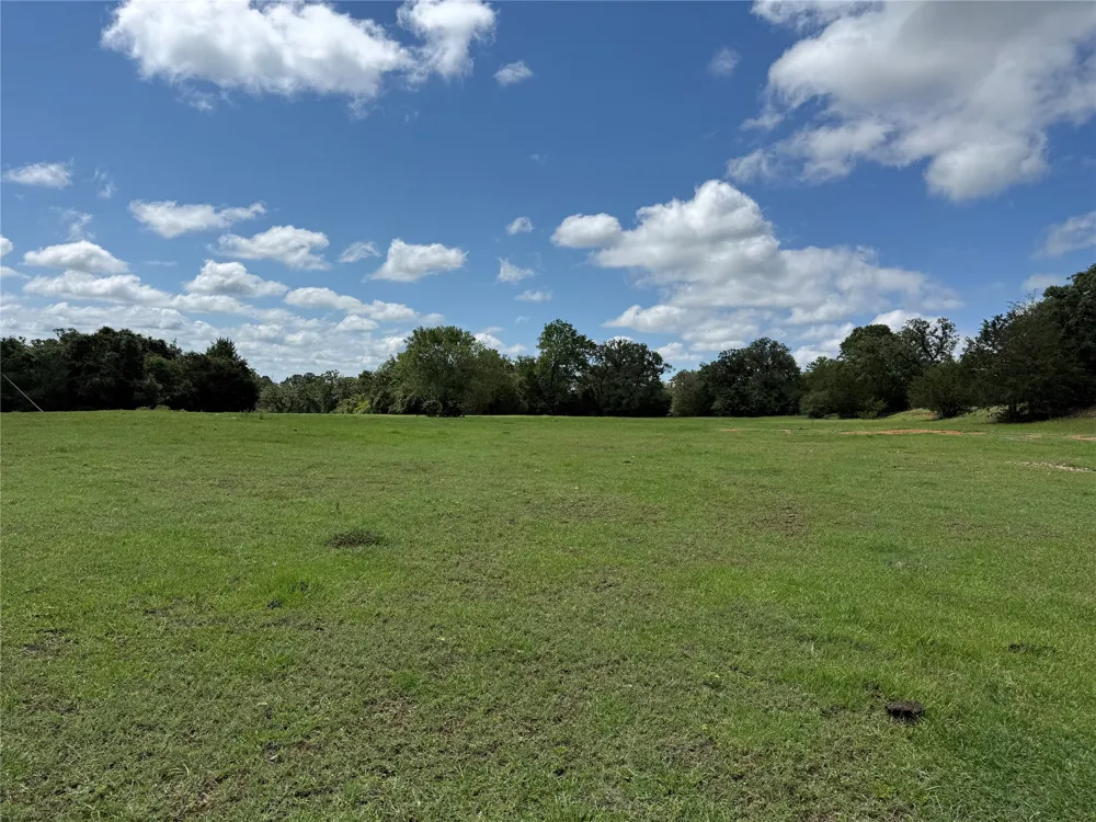 1749 FM 535 Smithville, TX 78957
