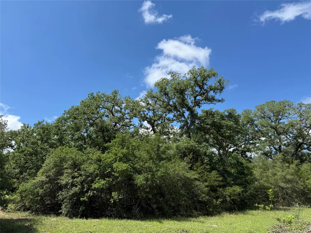 1749 FM 535 Smithville, TX 78957