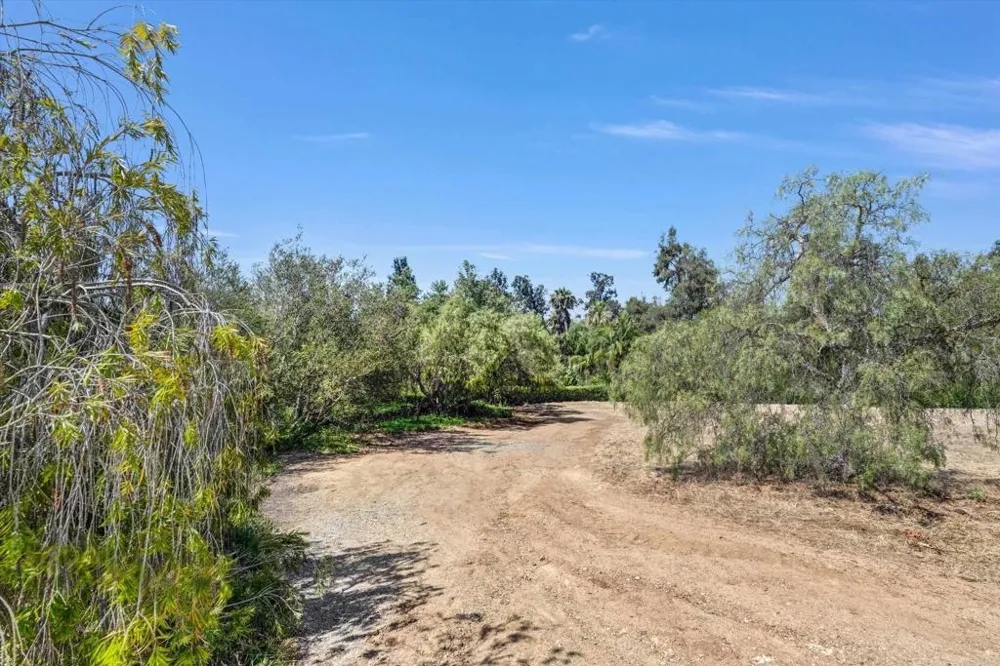 Colina Fuerte Rancho Santa Fe, CA 92067