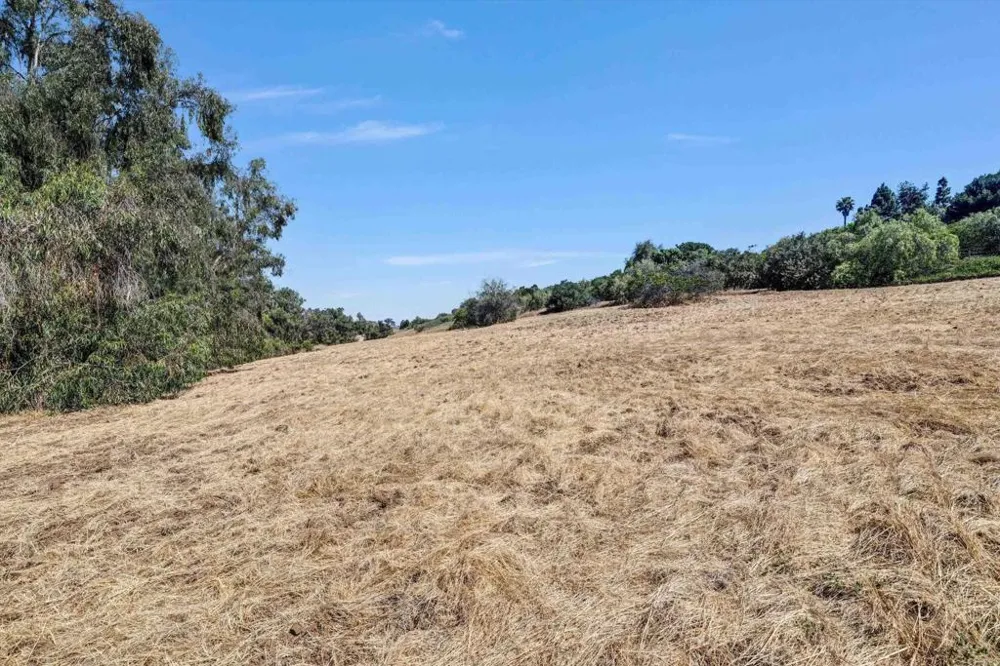 Colina Fuerte Rancho Santa Fe, CA 92067