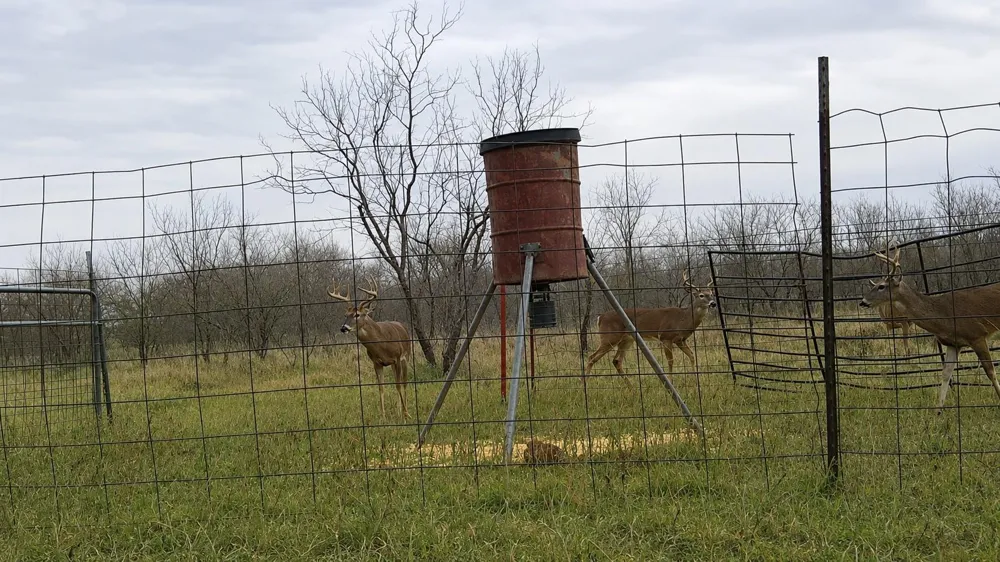 851 Cr 450 De Leon, TX 76444