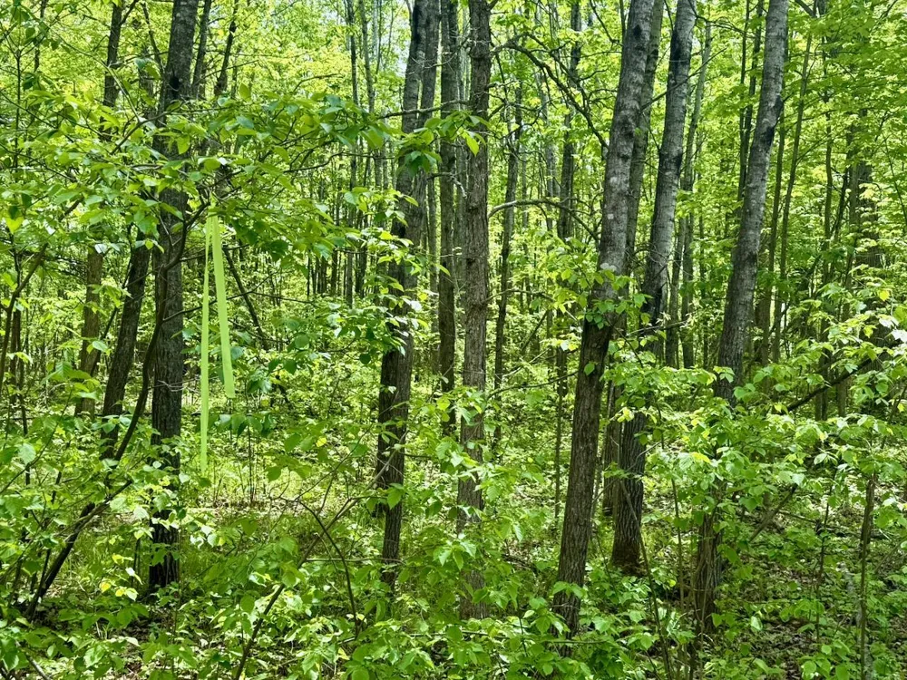 XYZ Dailey Lake Road Willow River, MN 55795