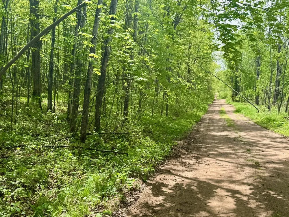 XYZ Dailey Lake Road Willow River, MN 55795