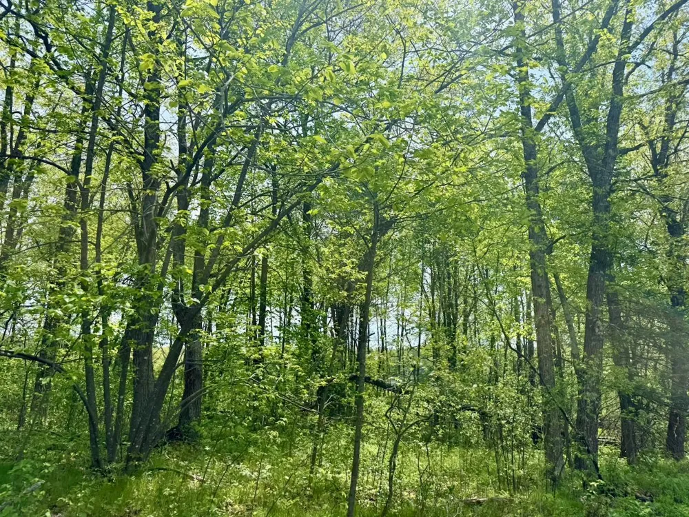 XYZ Dailey Lake Road Willow River, MN 55795
