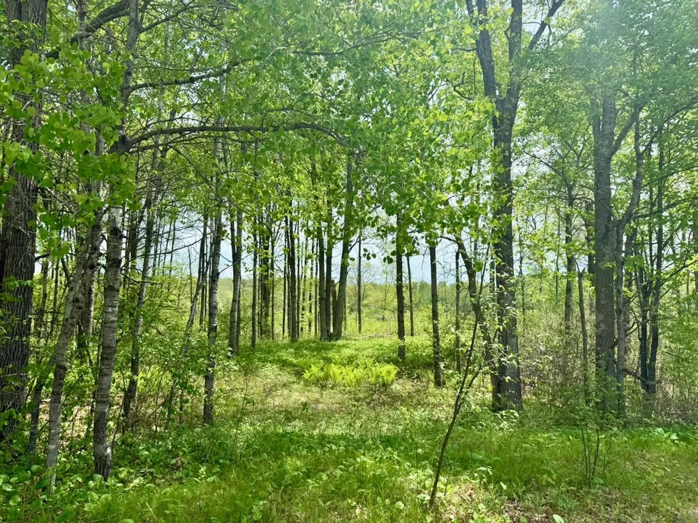 XYZ Dailey Lake Road Willow River, MN 55795