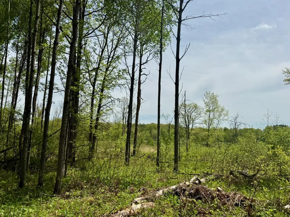 XYZ Dailey Lake Road Willow River, MN 55795