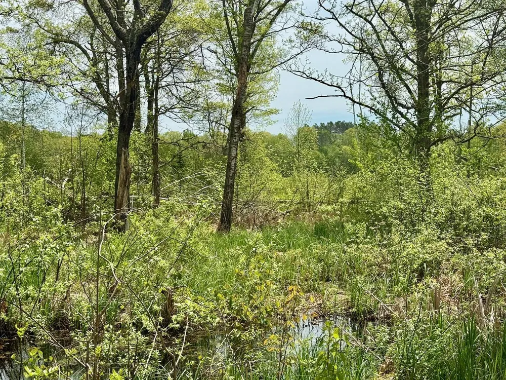 XYZ Dailey Lake Road Willow River, MN 55795