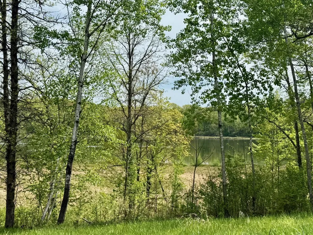 XYZ Dailey Lake Road Willow River, MN 55795