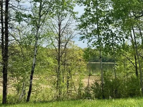 XYZ Dailey Lake Road