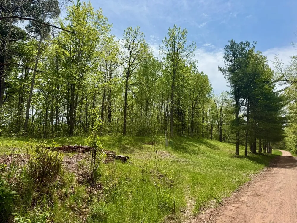 XYZ County Road 39 Willow River, MN 55795