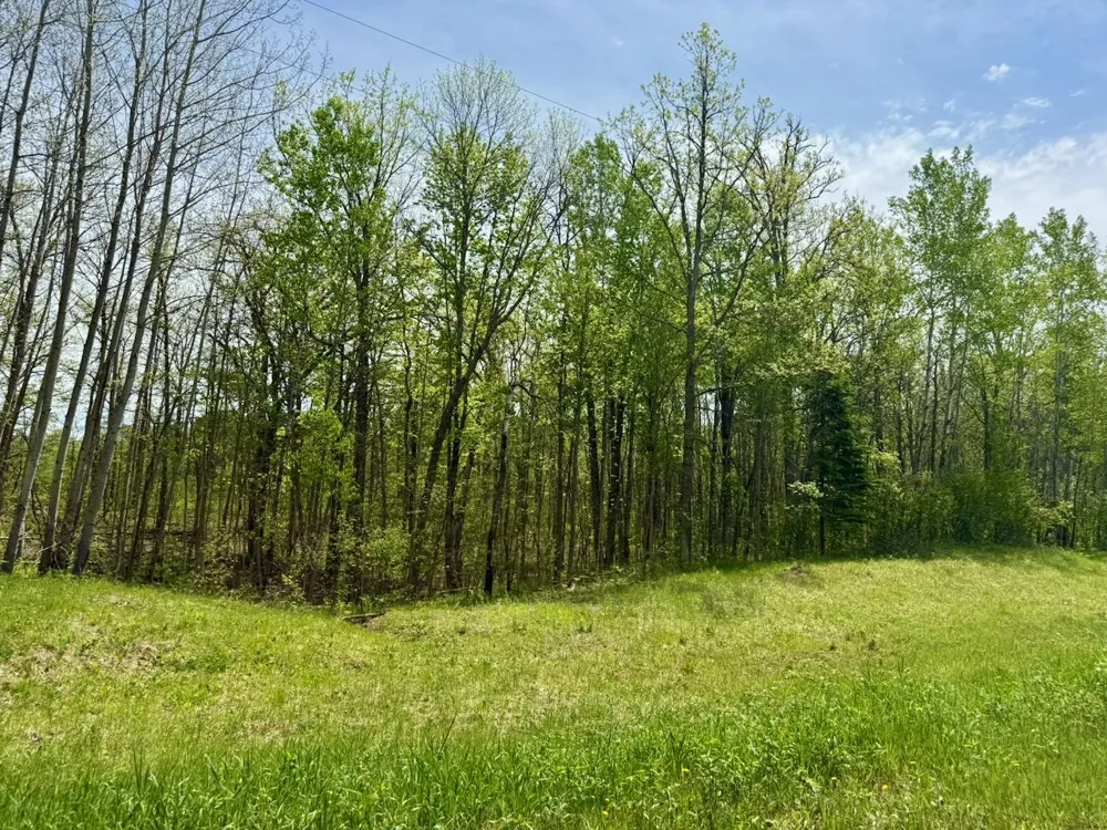 XYZ County Road 39 Willow River, MN 55795