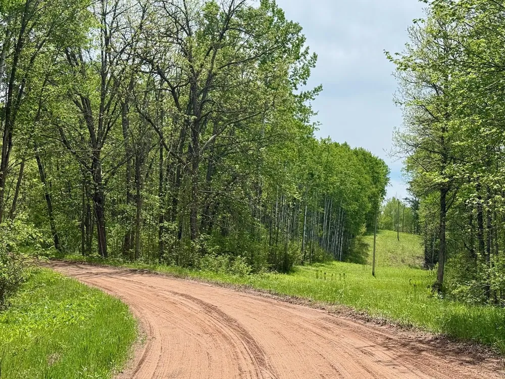 XYZ County Road 39 Willow River, MN 55795