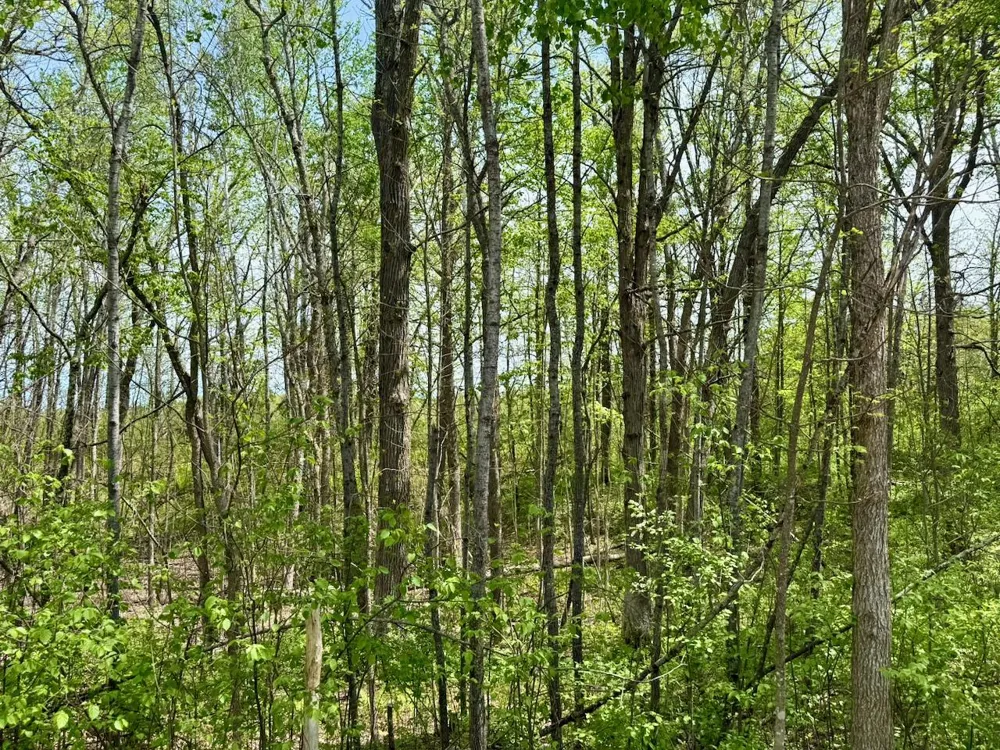 XYZ County Road 39 Willow River, MN 55795