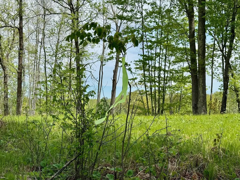 XYZ County Road 39 Willow River, MN 55795