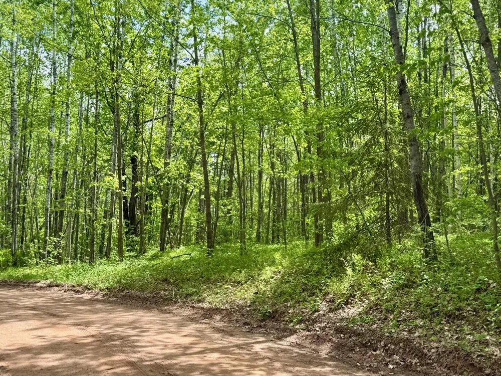 XYZ County Road 39 Willow River, MN 55795