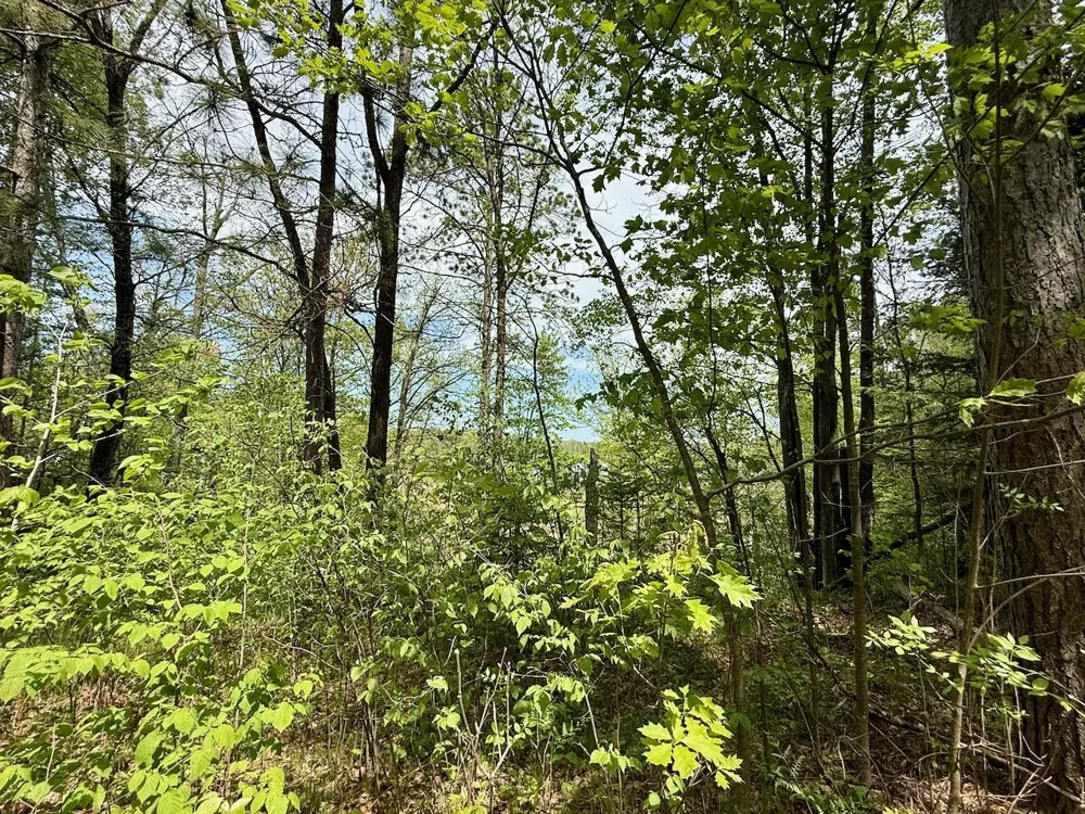 XYZ County Road 39 Willow River, MN 55795