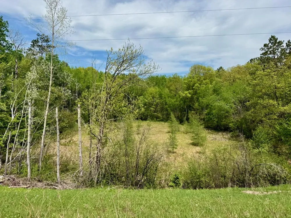 XYZ County Road 39 Willow River, MN 55795