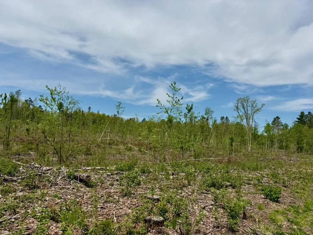 XYZ County Road 39 Willow River, MN 55795