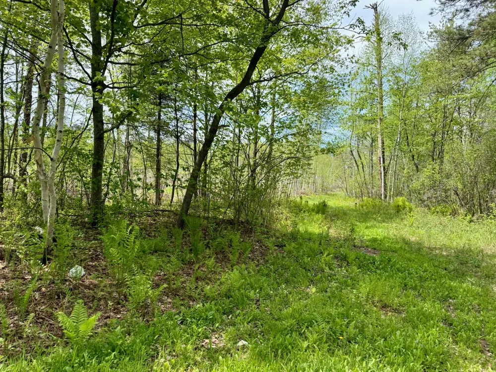 XYZ County Road 39 Willow River, MN 55795
