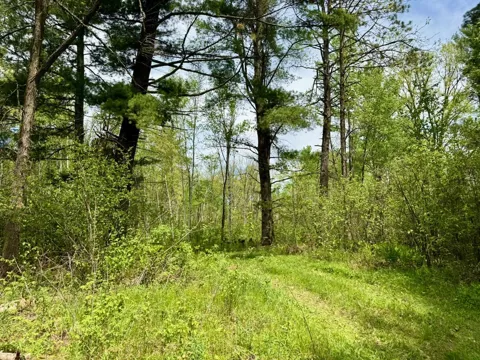 XYZ County Road 39