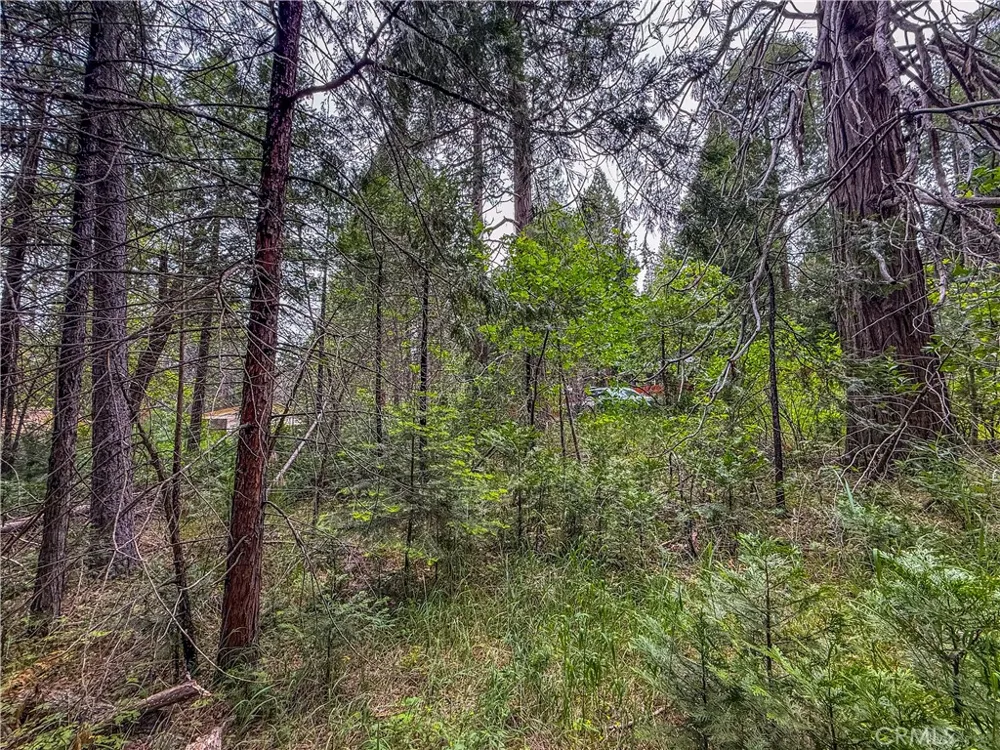 7083 Hites Cove Mariposa, CA 95338