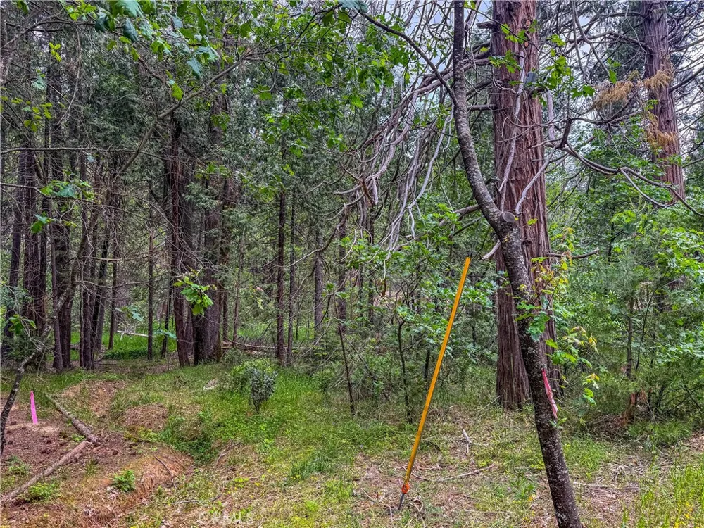 7083 Hites Cove Mariposa, CA 95338