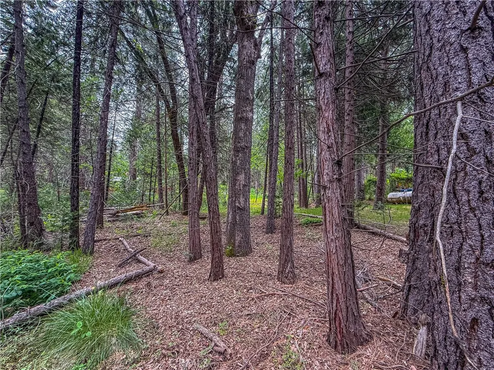 7083 Hites Cove Mariposa, CA 95338