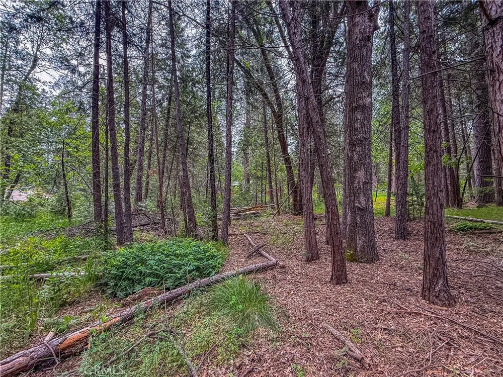 7083 Hites Cove Mariposa, CA 95338