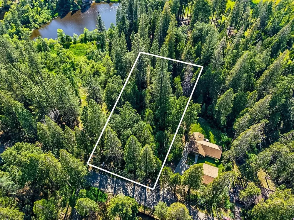 7083 Hites Cove Mariposa, CA 95338