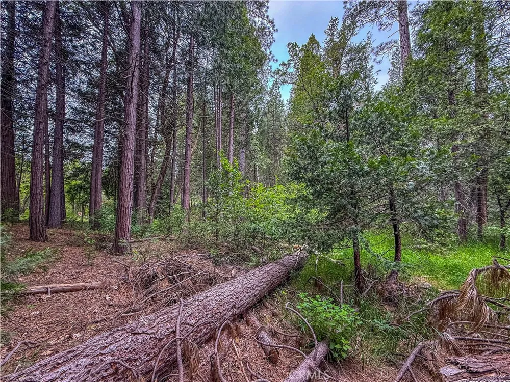 7083 Hites Cove Mariposa, CA 95338
