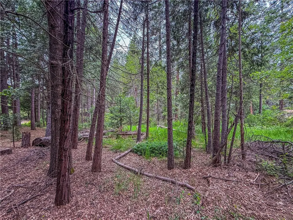 7083 Hites Cove Mariposa, CA 95338