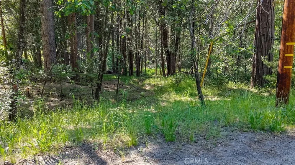7083 Hites Cove Mariposa, CA 95338