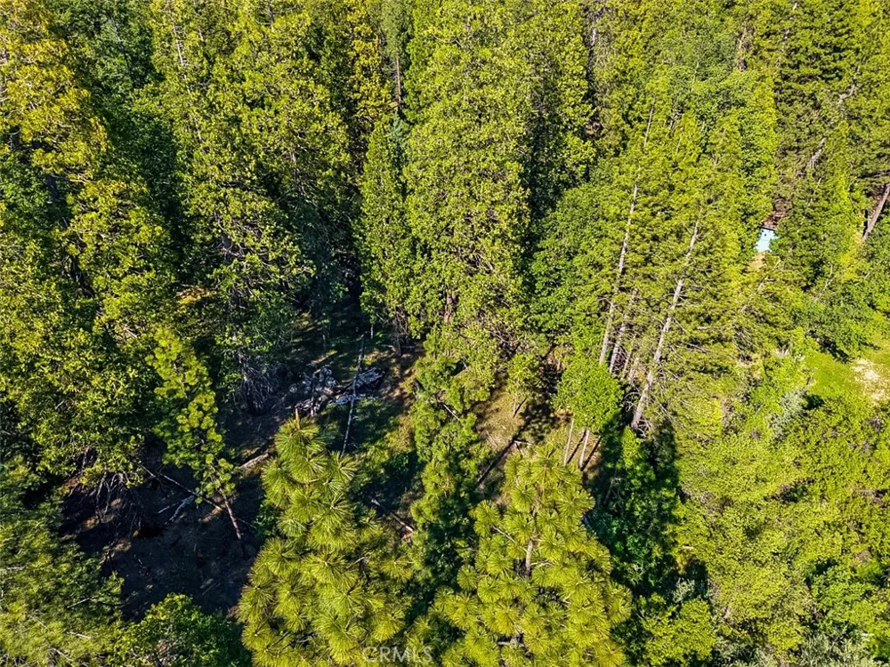 7083 Hites Cove Mariposa, CA 95338