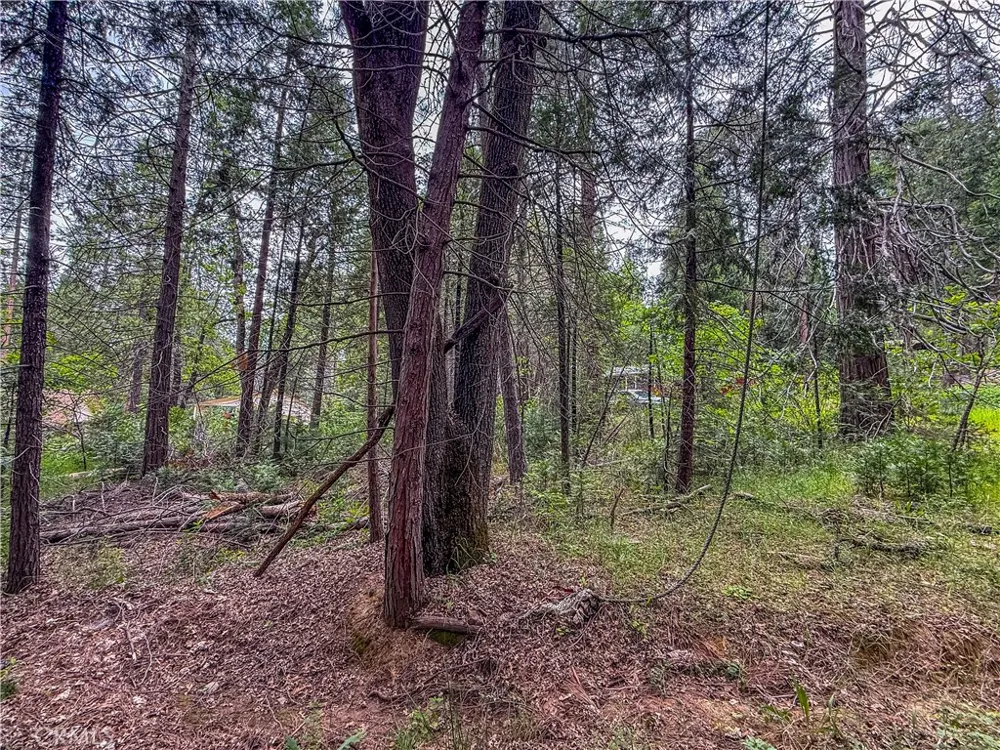7083 Hites Cove Mariposa, CA 95338