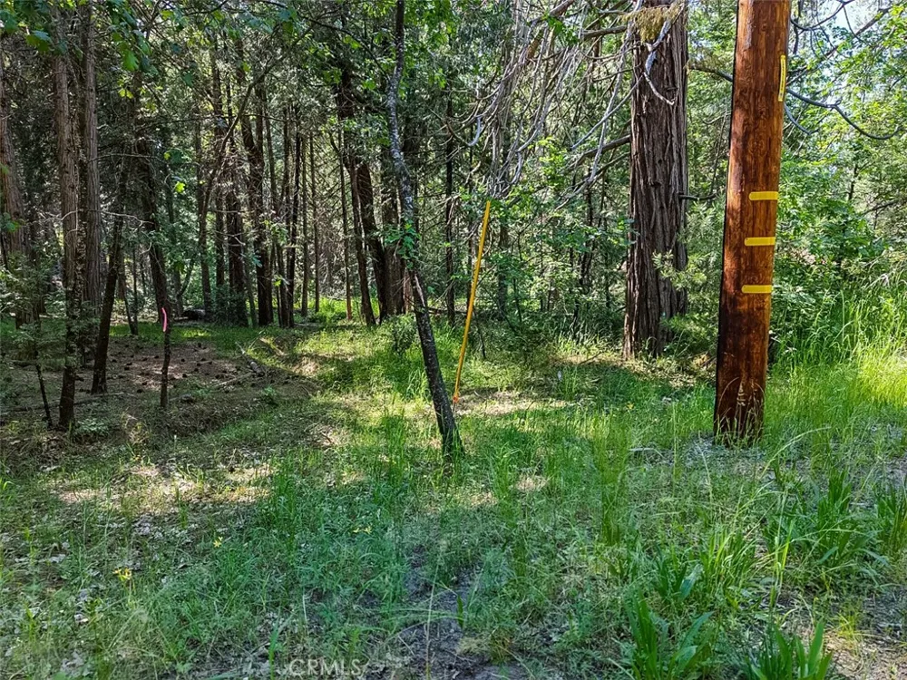 7083 Hites Cove Mariposa, CA 95338