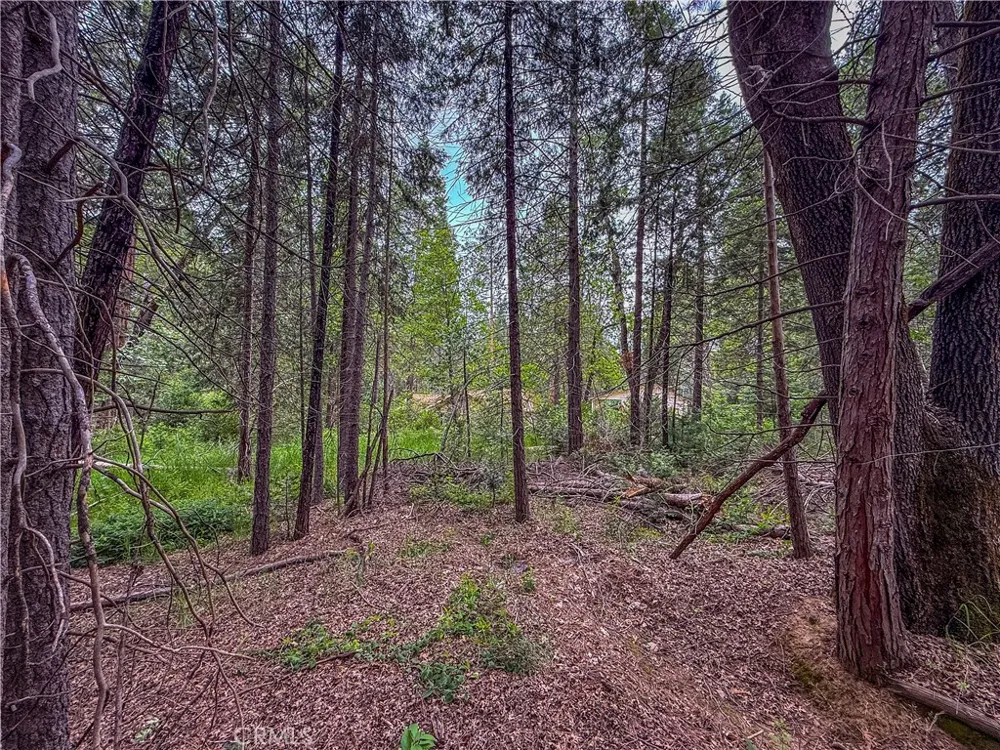 7083 Hites Cove Mariposa, CA 95338