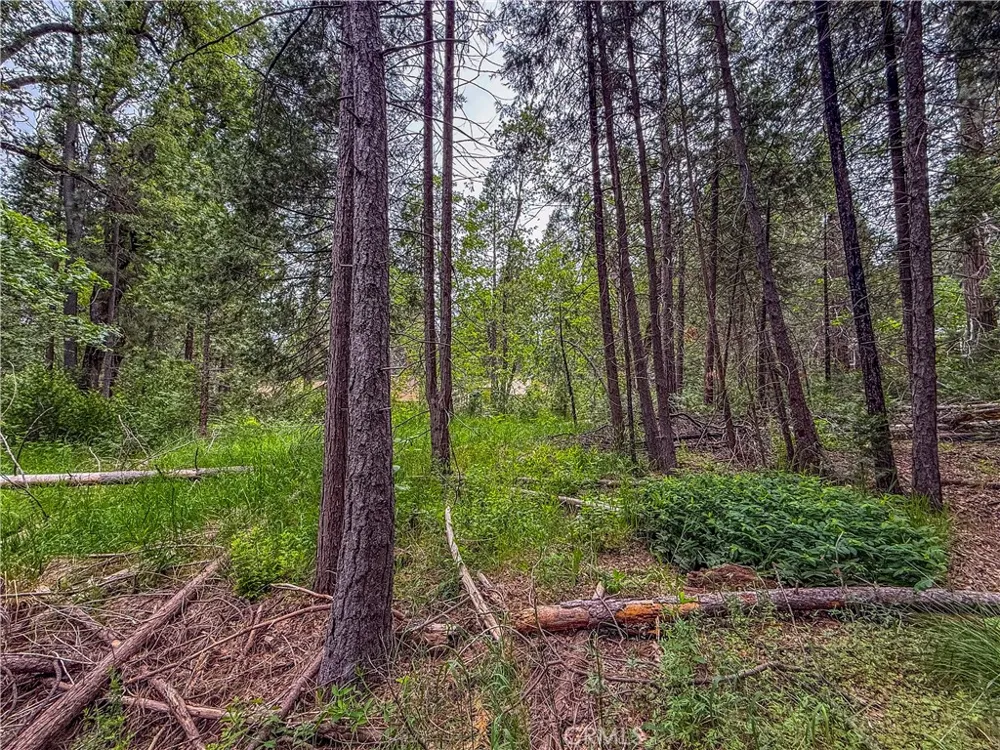 7083 Hites Cove Mariposa, CA 95338