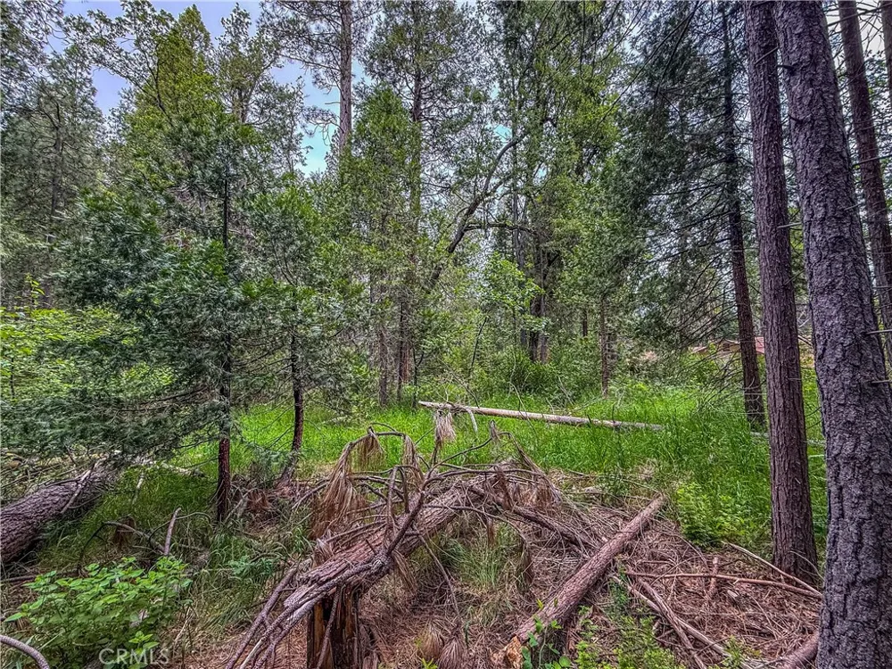 7083 Hites Cove Mariposa, CA 95338