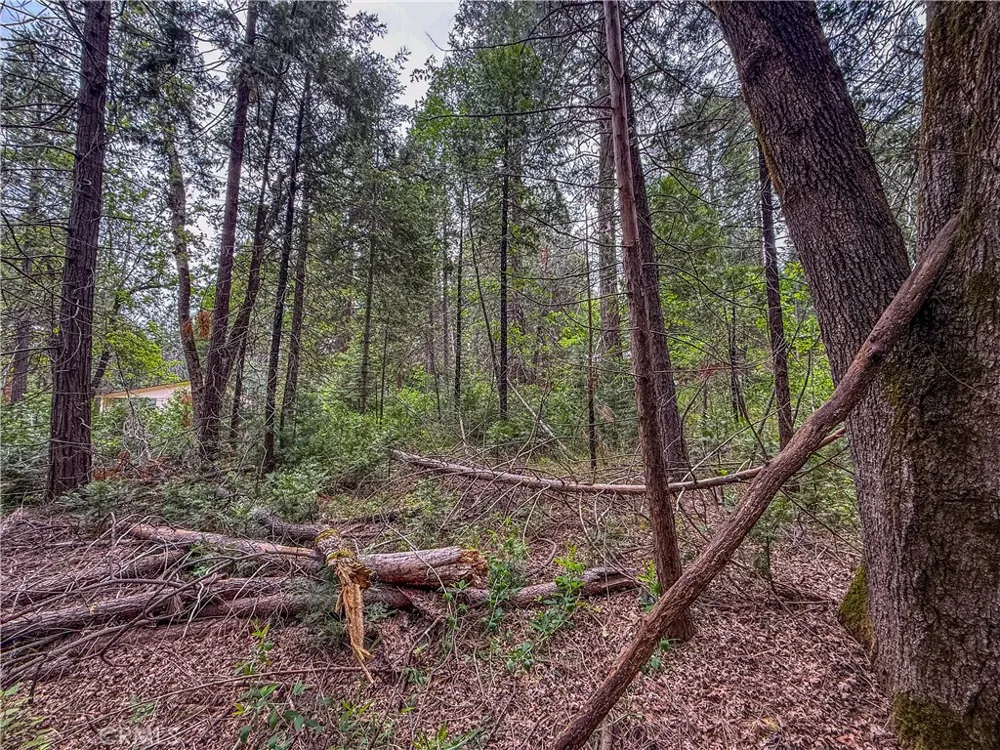 7083 Hites Cove Mariposa, CA 95338