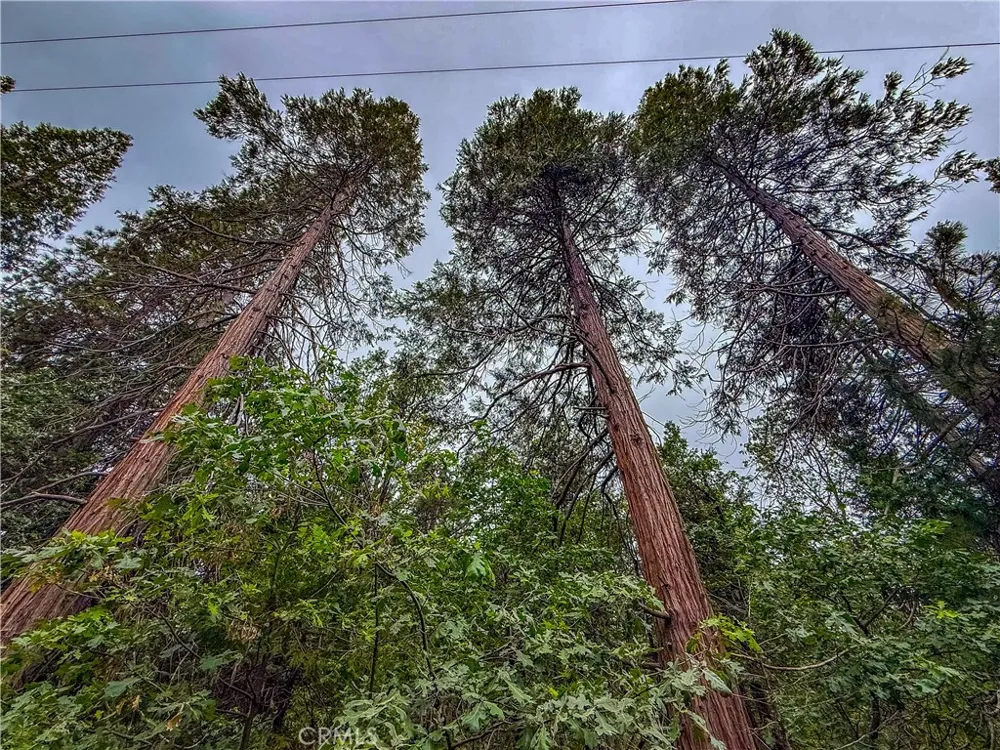 7083 Hites Cove Mariposa, CA 95338