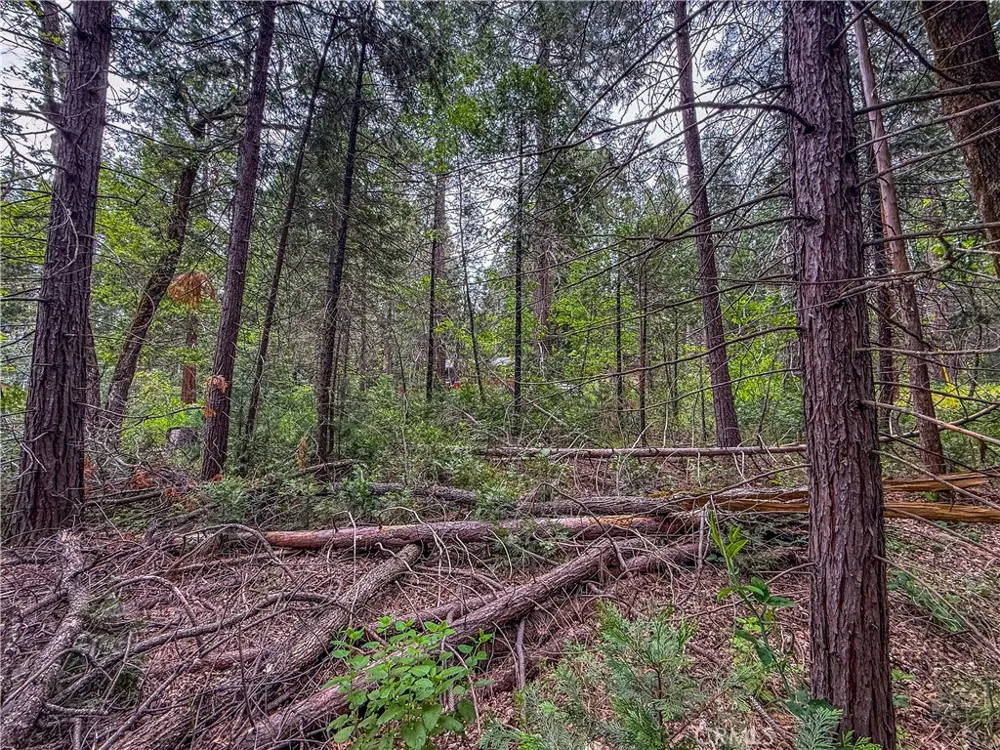 7083 Hites Cove Mariposa, CA 95338