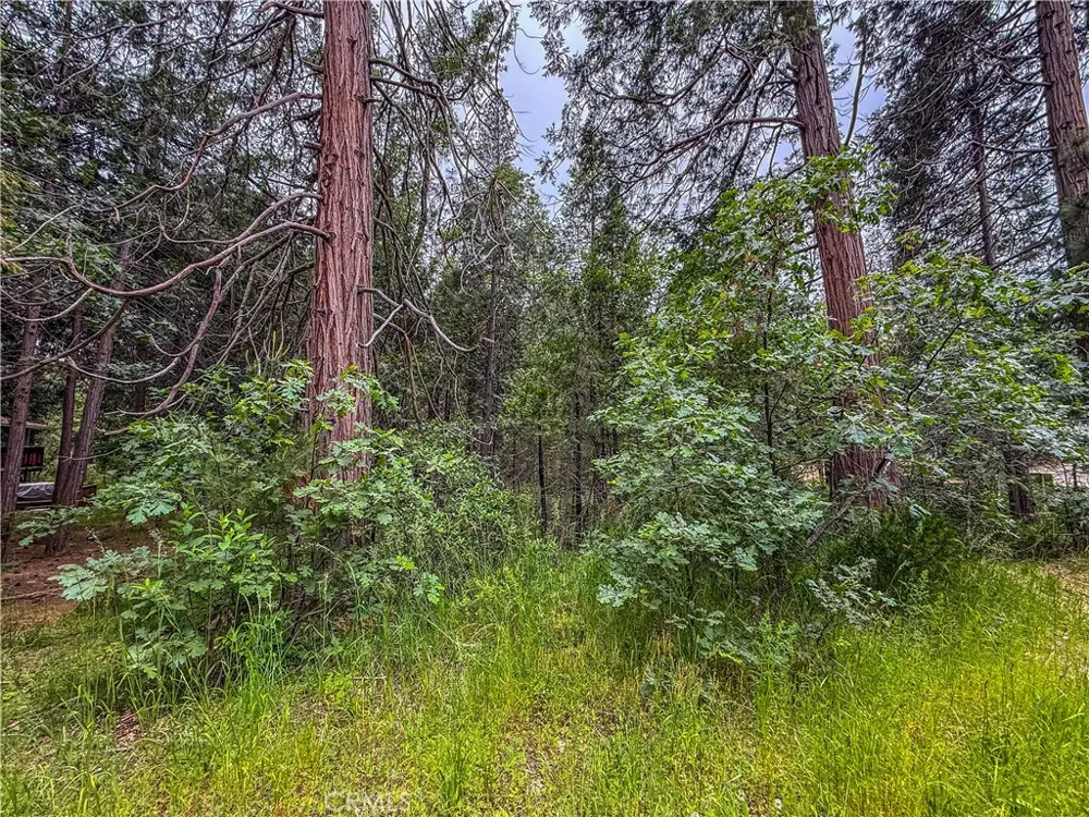 7083 Hites Cove Mariposa, CA 95338