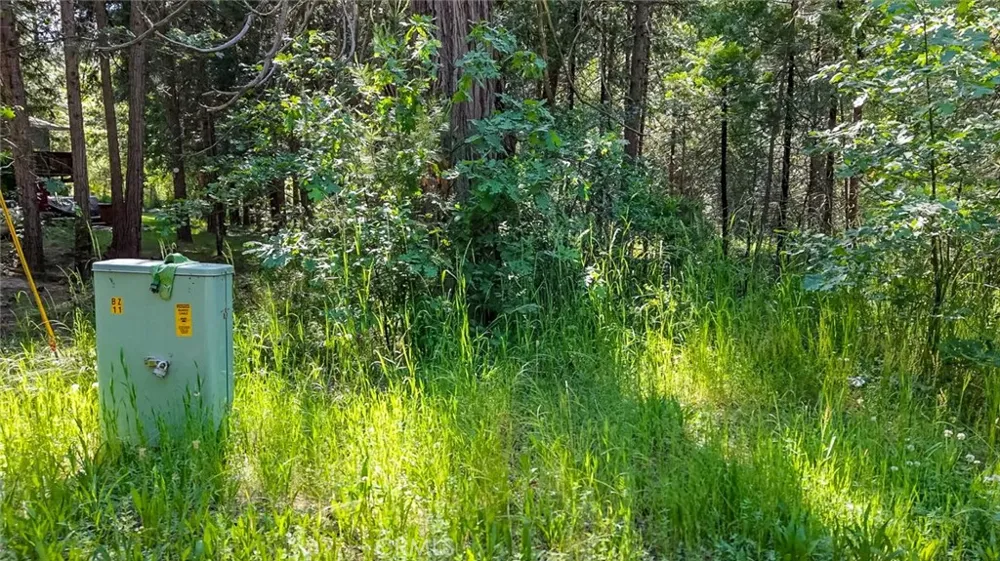7083 Hites Cove Mariposa, CA 95338
