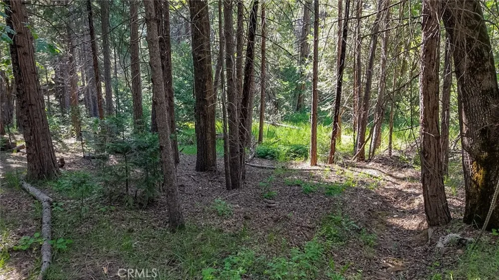 7083 Hites Cove Mariposa, CA 95338