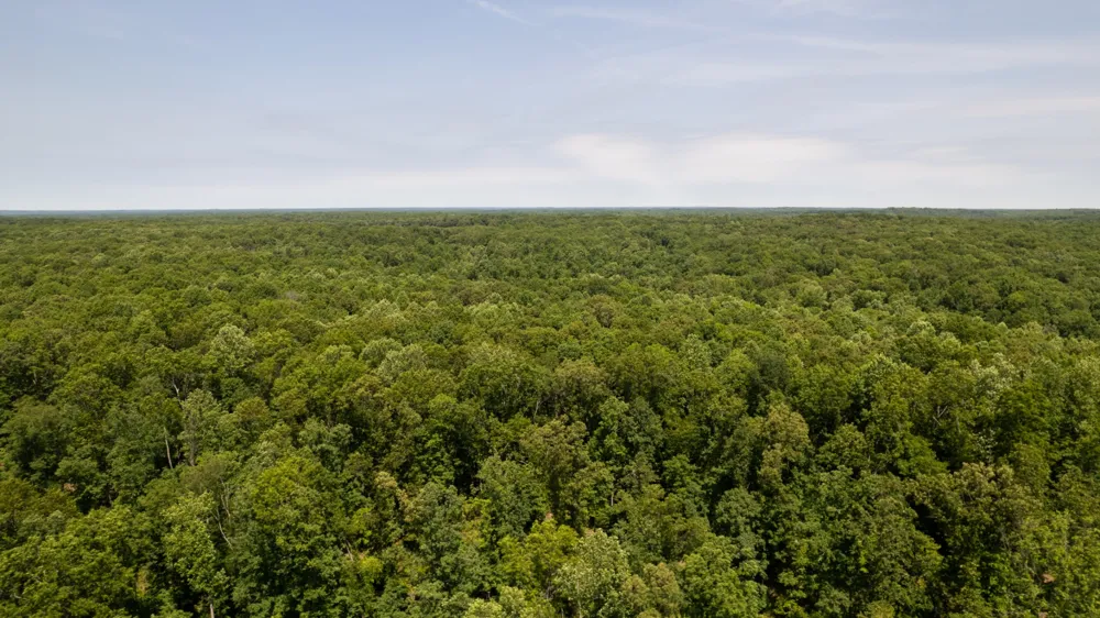 0 Oak Hill Lyles, TN 37098