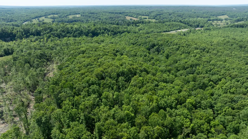 0 Oak Hill Lyles, TN 37098