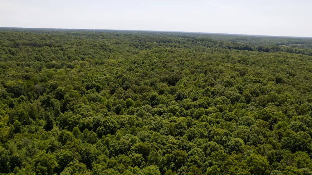 0 Oak Hill Lyles, TN 37098
