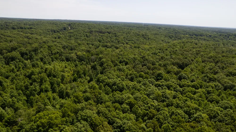 0 Oak Hill Lyles, TN 37098